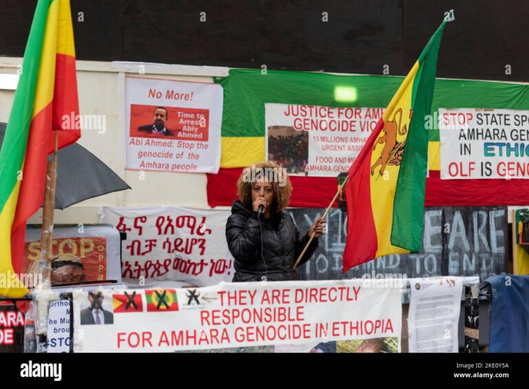 Amhara Voice