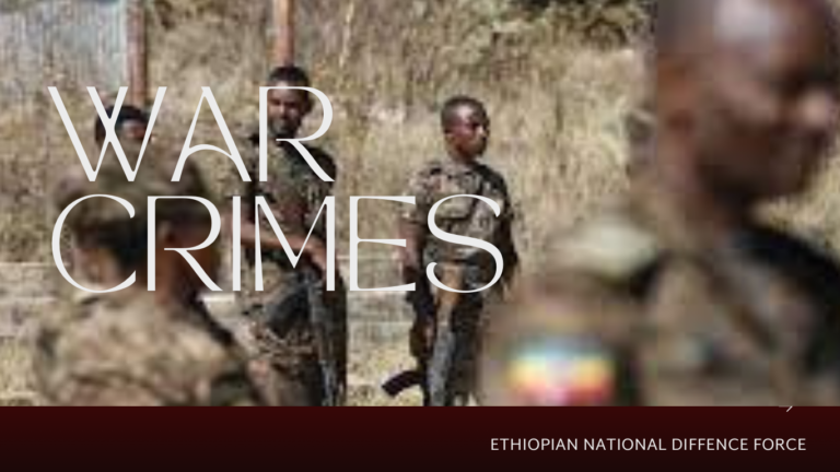 War On Amhara